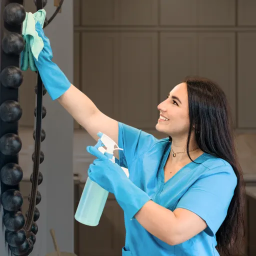 Routine House Cleaning