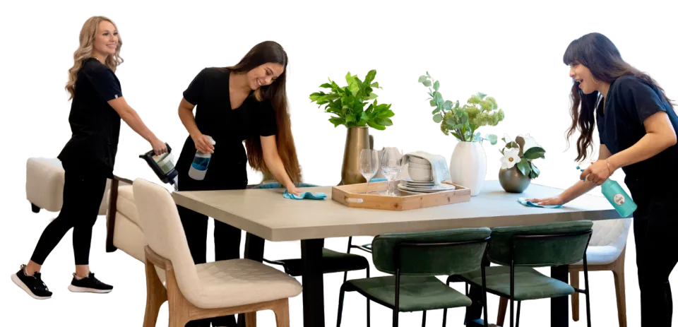 Professional cleaning services