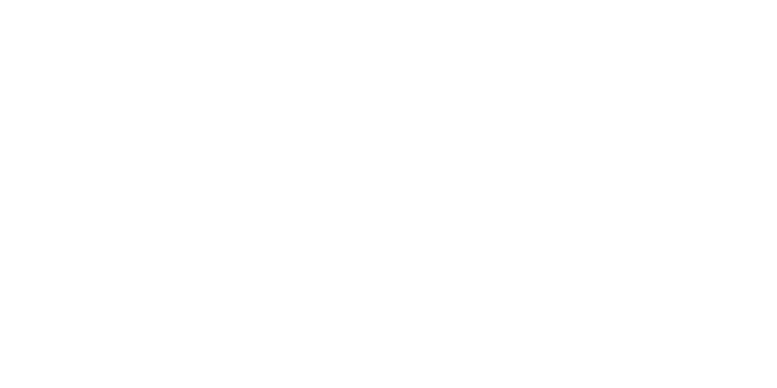 Silhouette of a maid pushing a broom - True Cleaning Experts Logo